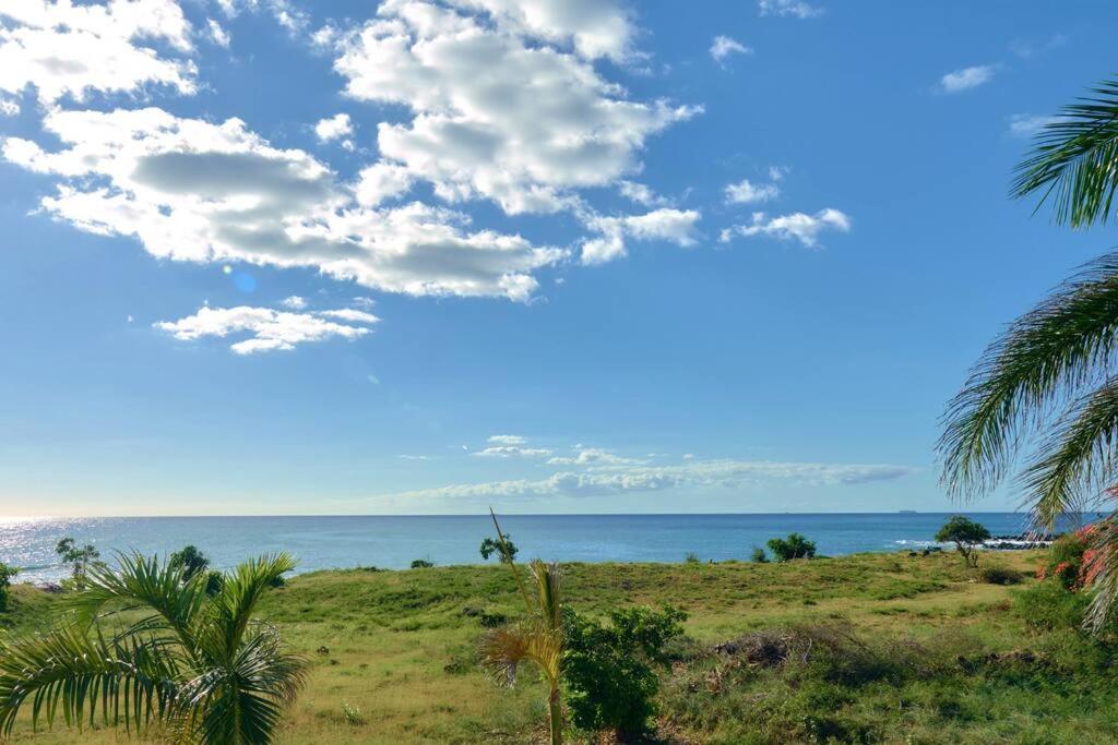 Cote Ouest - Vue Imprenable Sur La Mer - Villa Belifage Bleue Avec Piscine Privative Albion Exterior photo