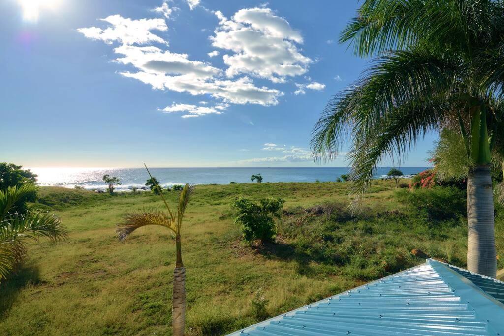 Cote Ouest - Vue Imprenable Sur La Mer - Villa Belifage Bleue Avec Piscine Privative Albion Exterior photo